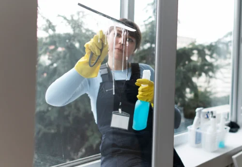 Nettoyage de vitres intérieures et extérieures à Gries